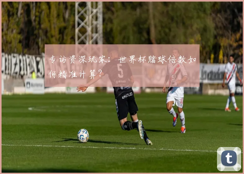专访资深玩家：世界杯赌球倍数如何精准计算？
