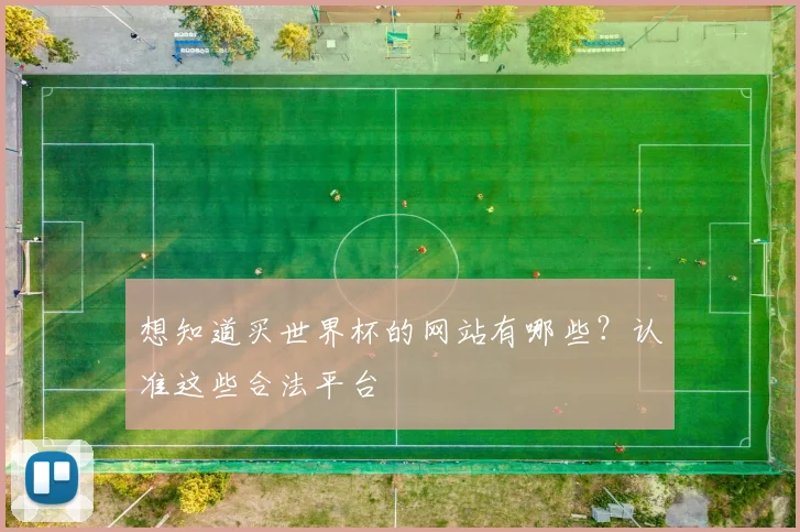 想知道买世界杯的网站有哪些？认准这些合法平台